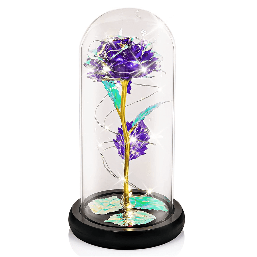Traditional Arts Galaxy Rose Display