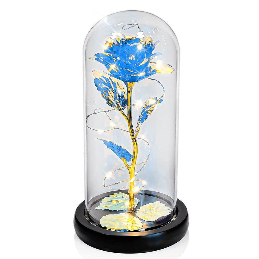 Traditional Arts Galaxy Rose Display